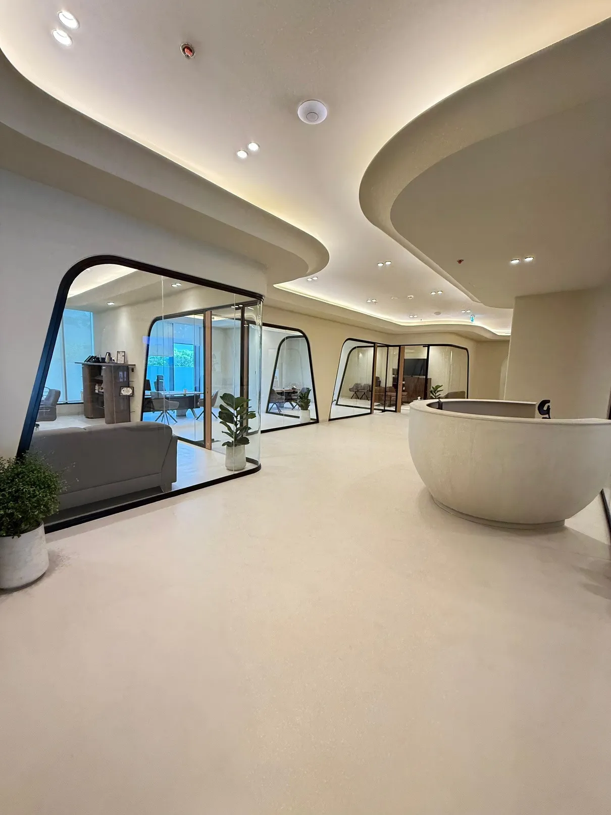 Office reception with a curved desk, glazed offices with rounded frames and a cove lit ceiling